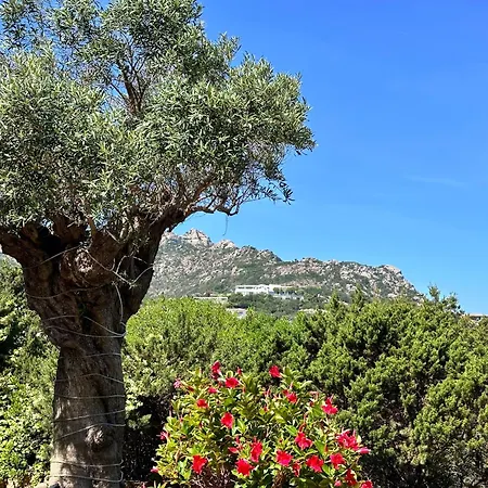 Gasthuis Ersy House Porto Cervo